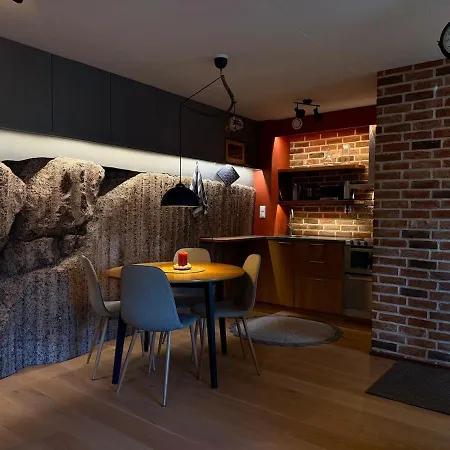 Granit, Loft-asunto Kallion Syleilyssae, Ilmainen Parkki Ja Sauna *